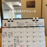 画像366