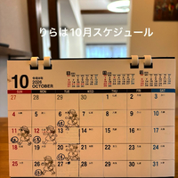 画像379