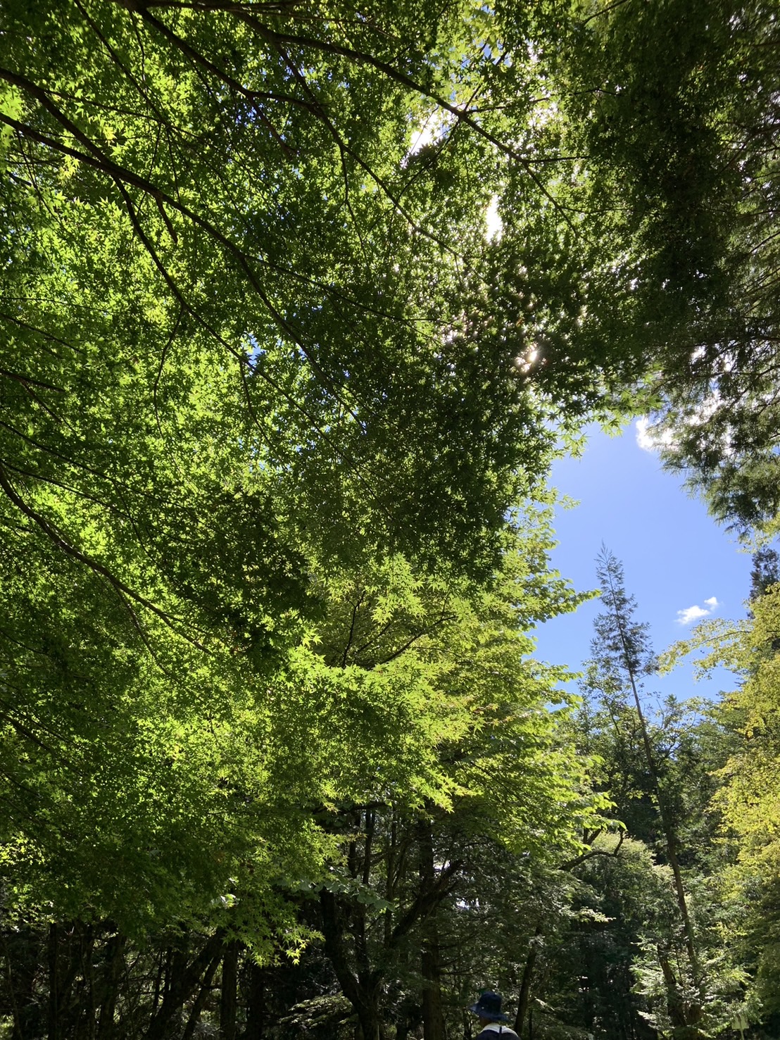 守山市初！小顔矯正と自律神経を整える新しいアプローチ