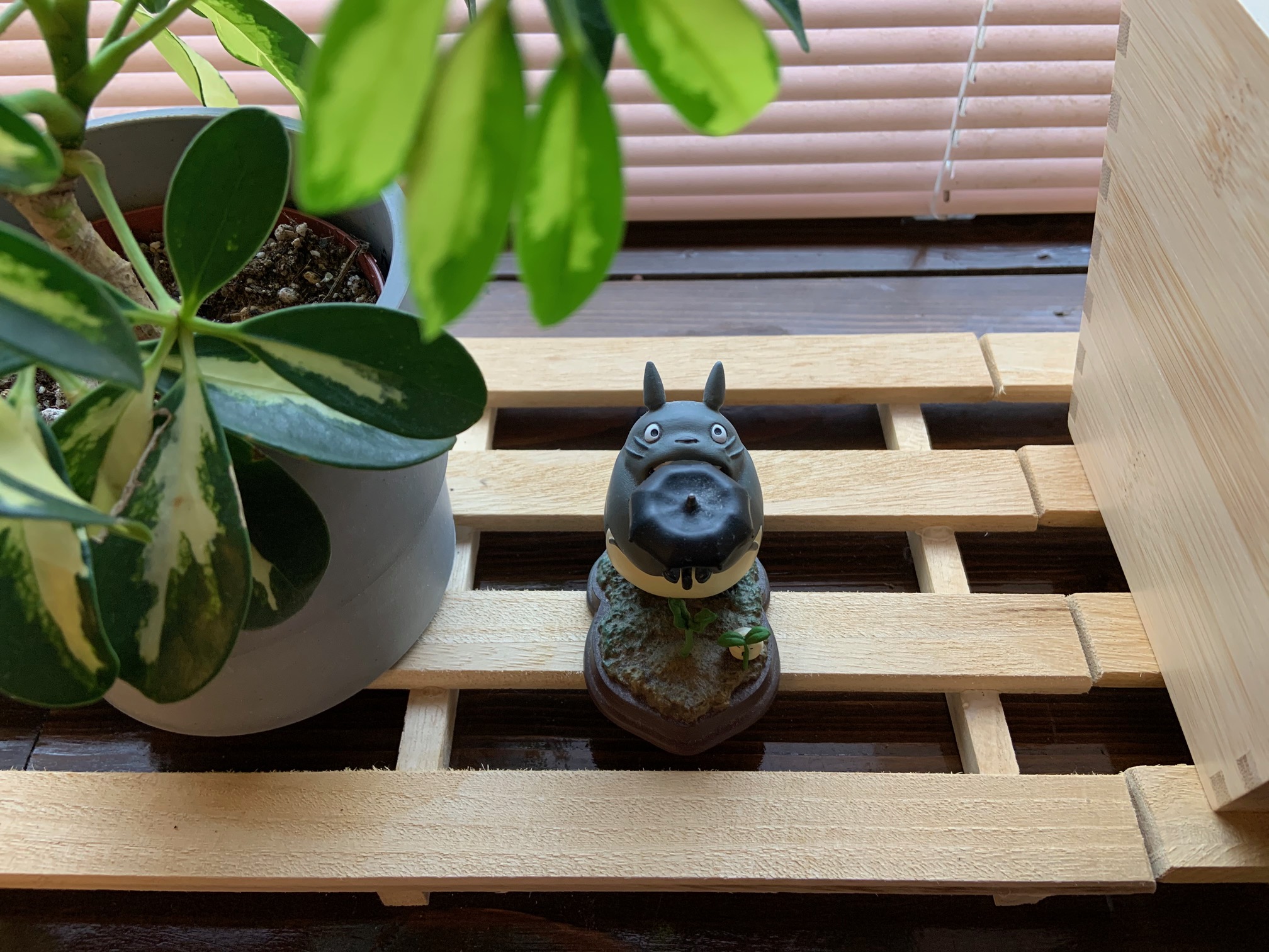 今すぐお問い合わせを！